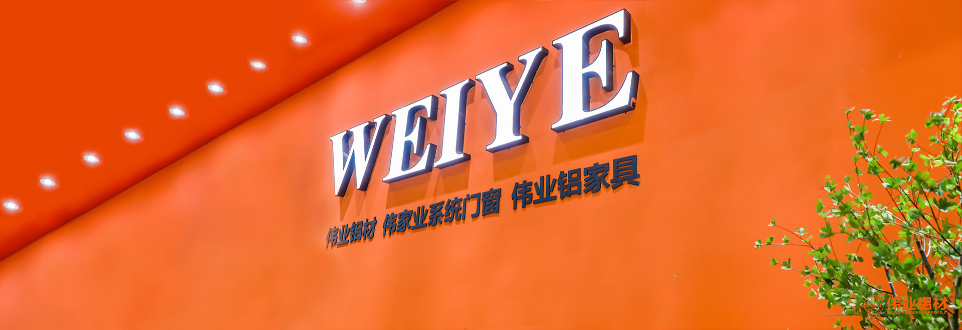 首页- k8凯发集团中国官方网站