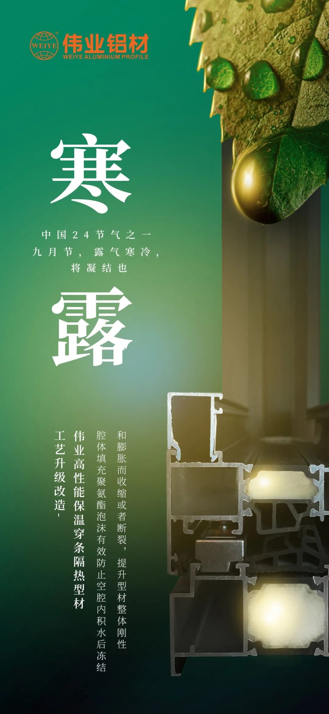 #寒露 九月节，露气寒冷，将凝固也 时光入深秋，岁月便深情