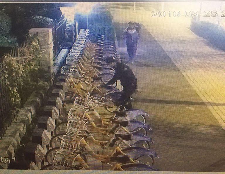 银河集团186net(中国)有限公司官网