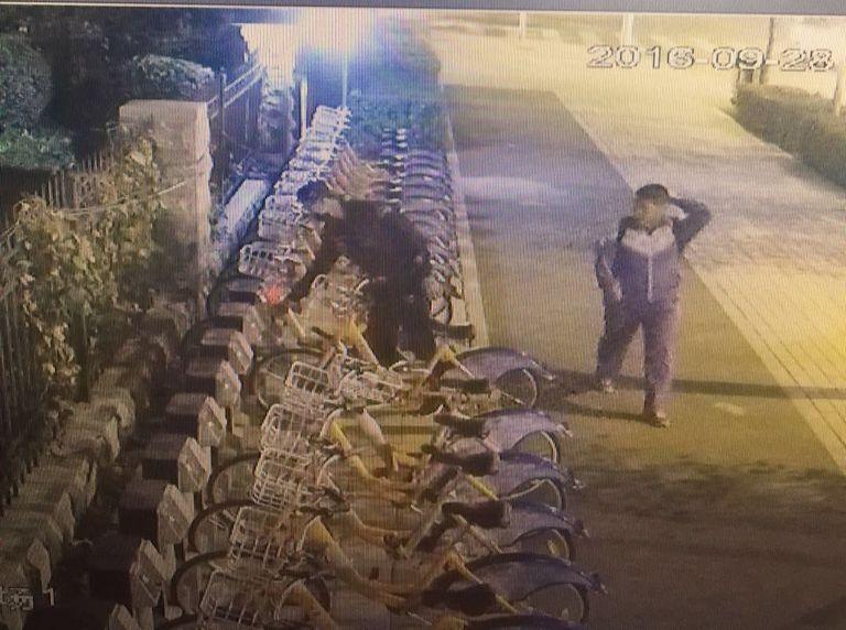 银河集团186net(中国)有限公司官网