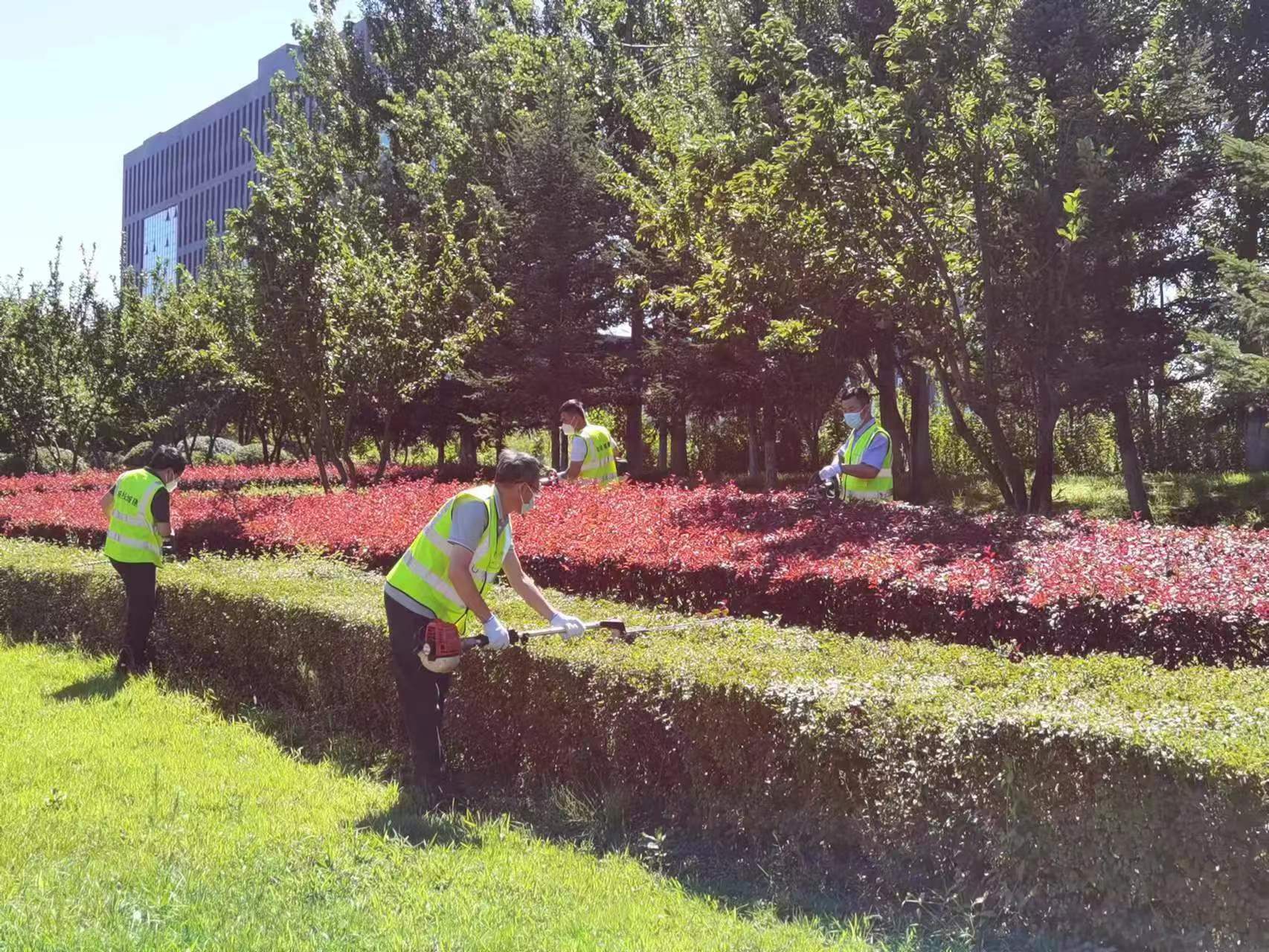 银河集团186net(中国)有限公司官网