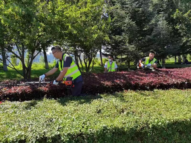 银河集团186net(中国)有限公司官网