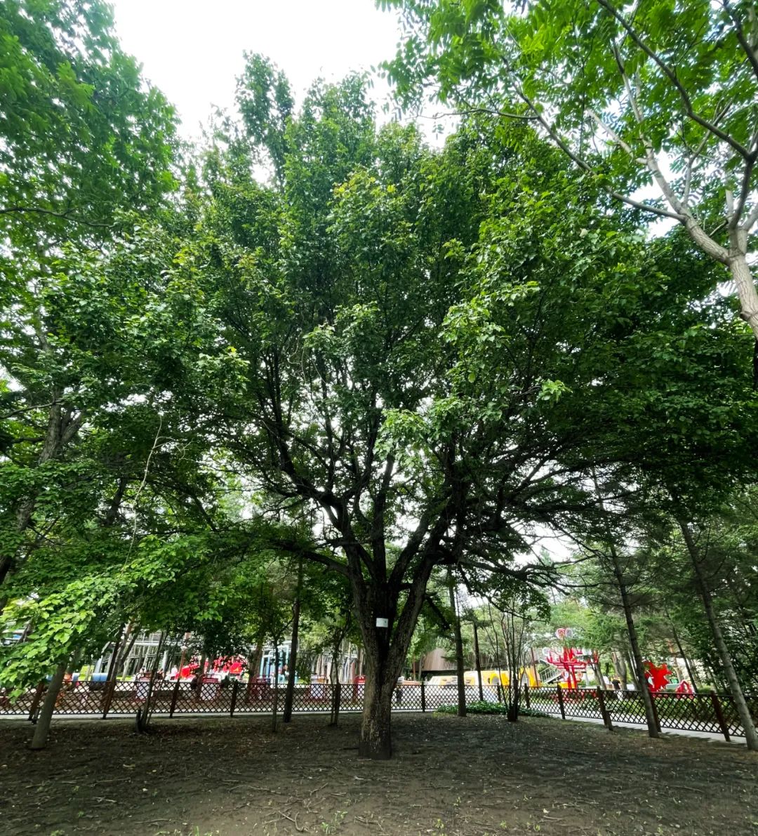 银河集团186net(中国)有限公司官网