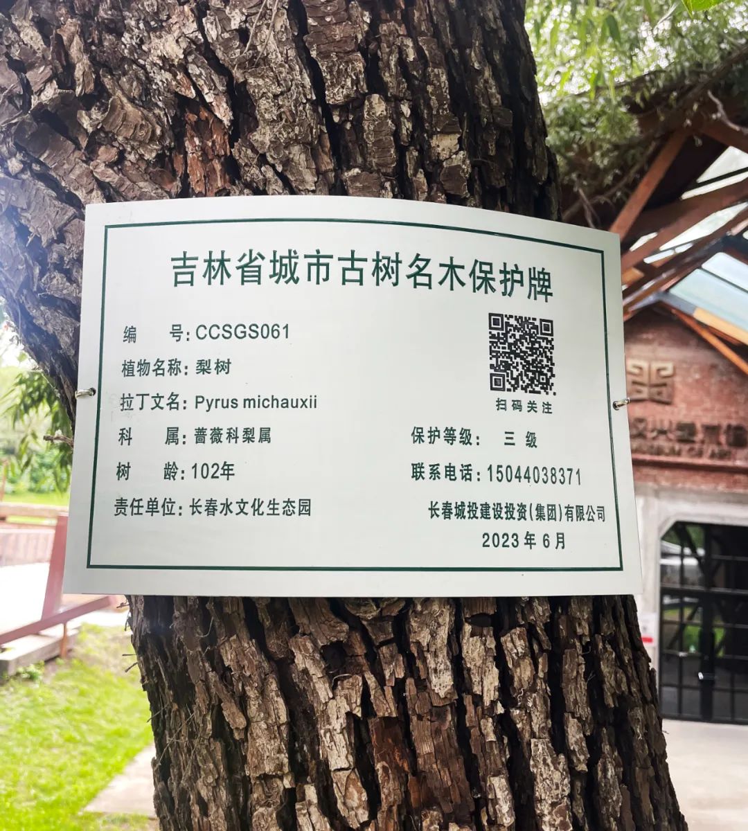 银河集团186net(中国)有限公司官网