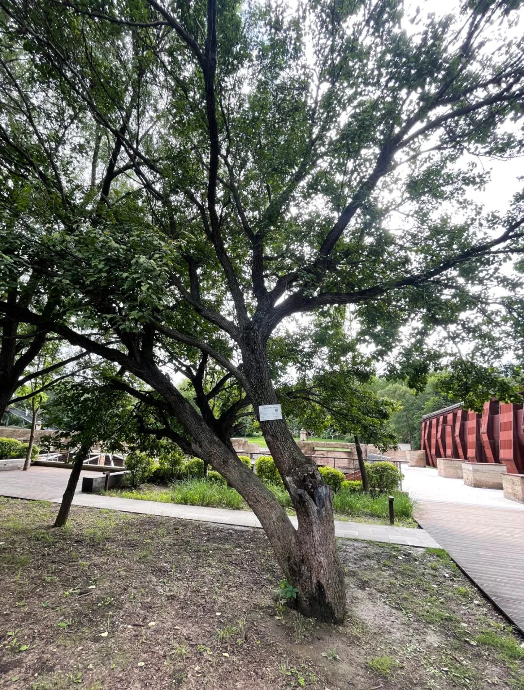 银河集团186net(中国)有限公司官网