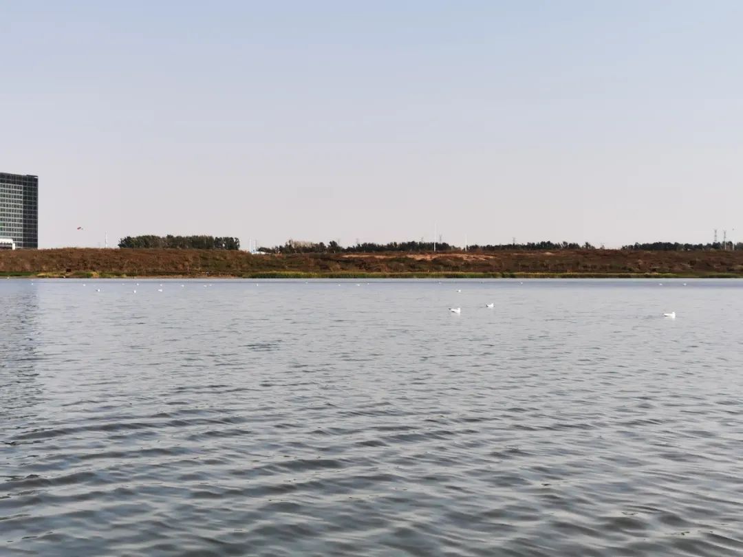 银河集团186net(中国)有限公司官网